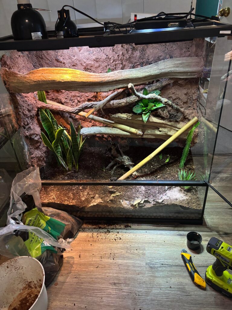 Recs for bottom of this Viv for plants or other form of clutter