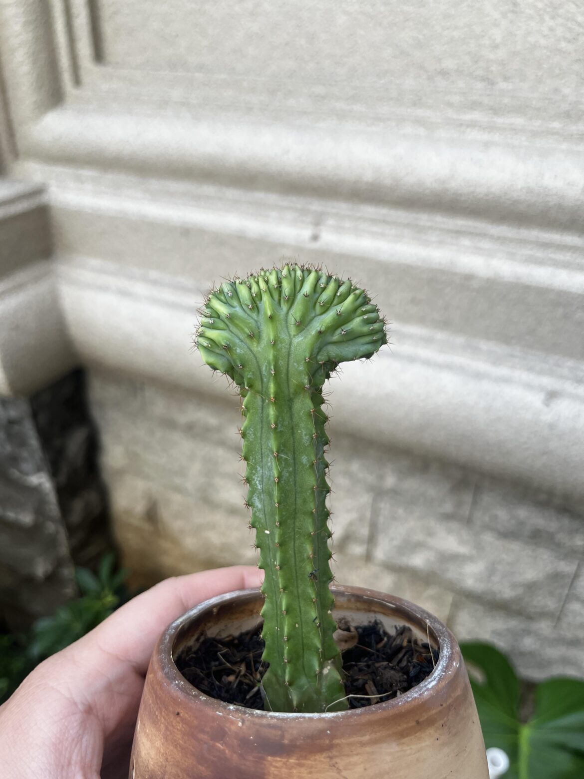 Please help identify what is happening