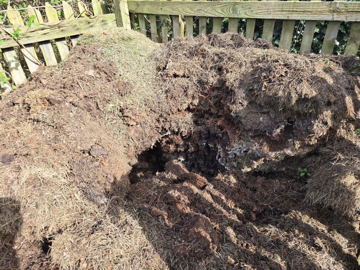 What to do with this neglected heap