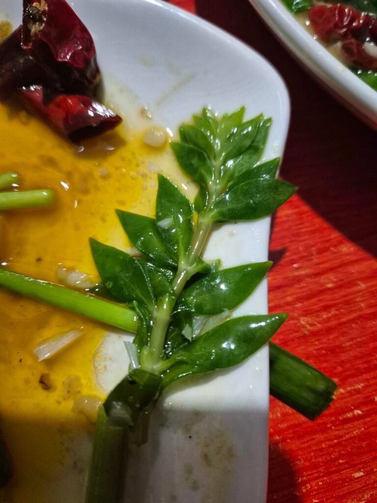 Stir fried vegetable in mountainous China. About 2 inch long.