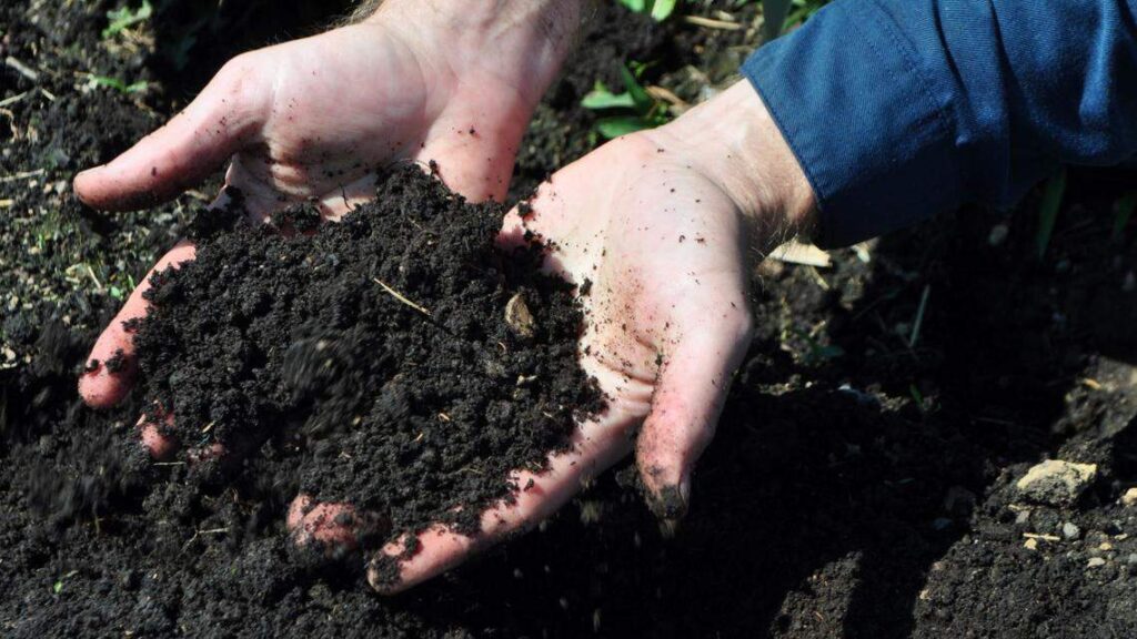 Expert organic gardening tips for healthy soil this spring