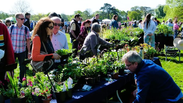 Popular spring plant fair returns to Cholmondeley Castle Gardens Download on the App Store