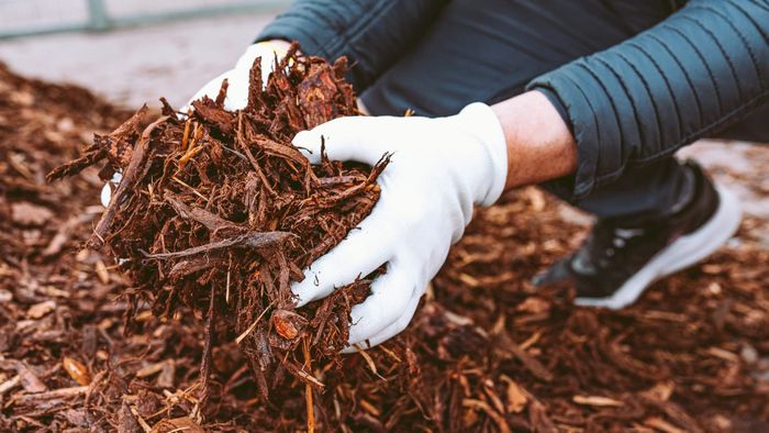 How to choose the best mulch to protect your garden this spring Download on the App Store