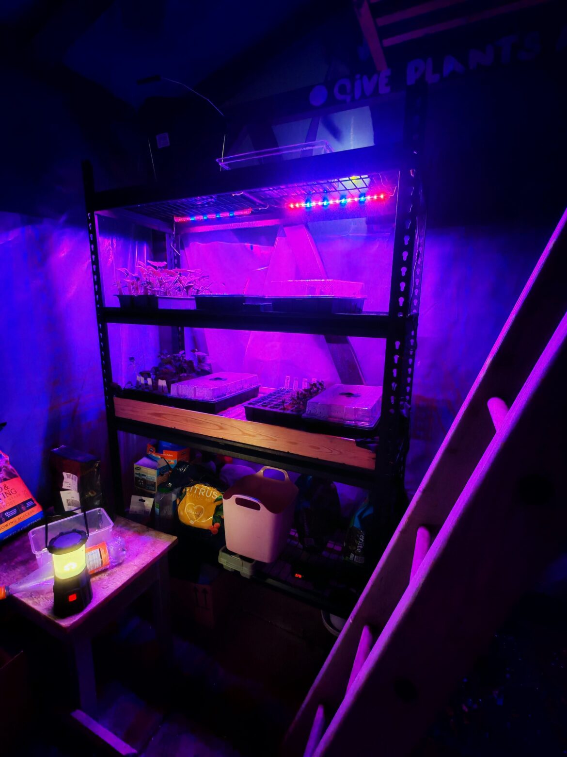My greenhouse setup!