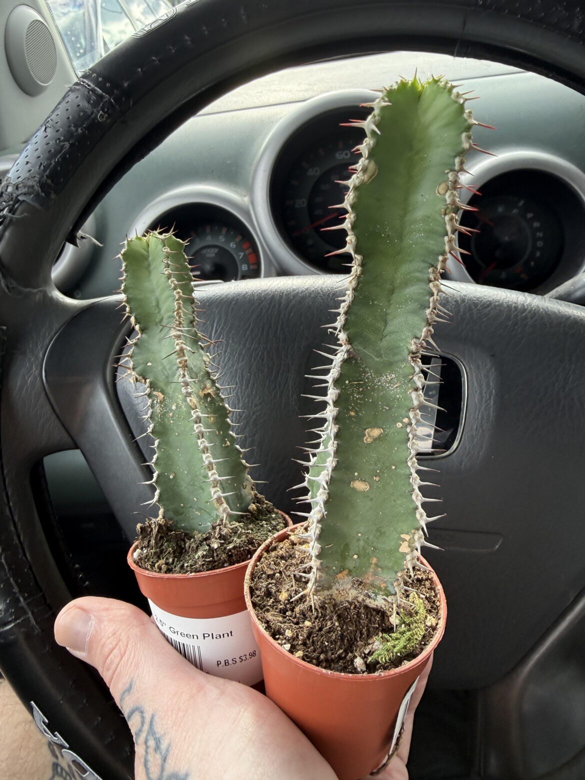 These are $3.33 at Home Depot right now. These are $3.33 at Home Depot right now.