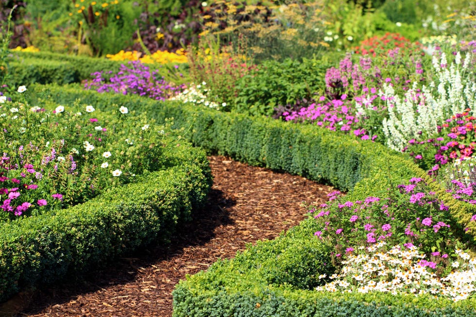 herb and flower garden