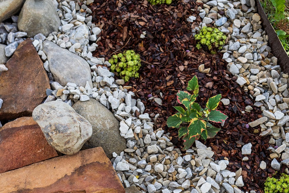 mulching mistakes rocks mulching mistakes rocks