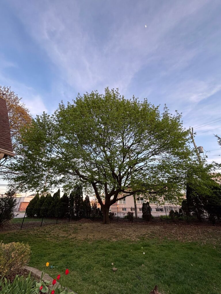 Keeping roots healthy/ happy? Keeping roots healthy/ happy?