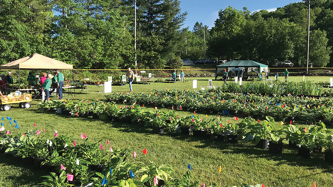 highlands-nc-plant-sale