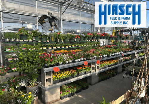 Set your garden up for success at Hirsch! Set your garden up for success at Hirsch!