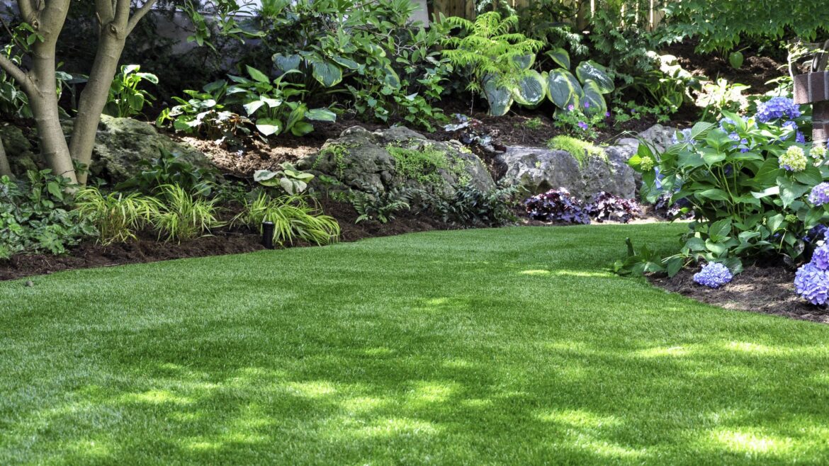 I’m a gardener and I recommend this 5-minute quick fix for a patch-free lawn I’m a gardener and I recommend this 5-minute quick fix for a patch-free lawn