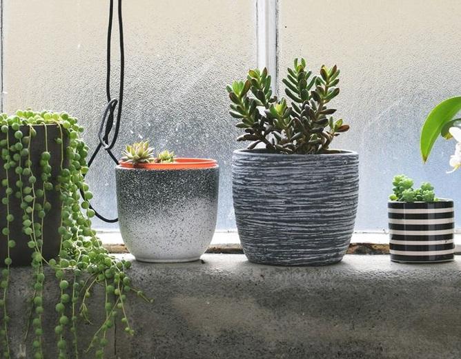 Home & gardening events – Park Bugle Home & gardening events