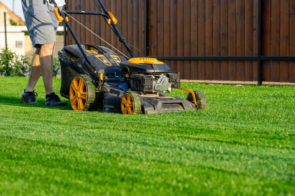 Green grass cutting with lawn mower in garden. Green grass cutting with lawn mower in garden.