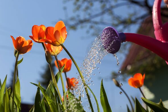 The cultivation of flowers in the country outside the city The cultivation of flowers in the country outside the city