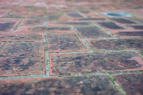 Dirty outdoor tiles with mold and moss, need cleaning and maintenance