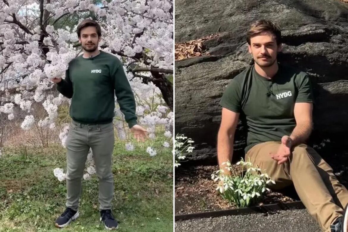 Hot New York Botanical Garden employee causes online craze Hot New York Botanical Garden employee causes online craze