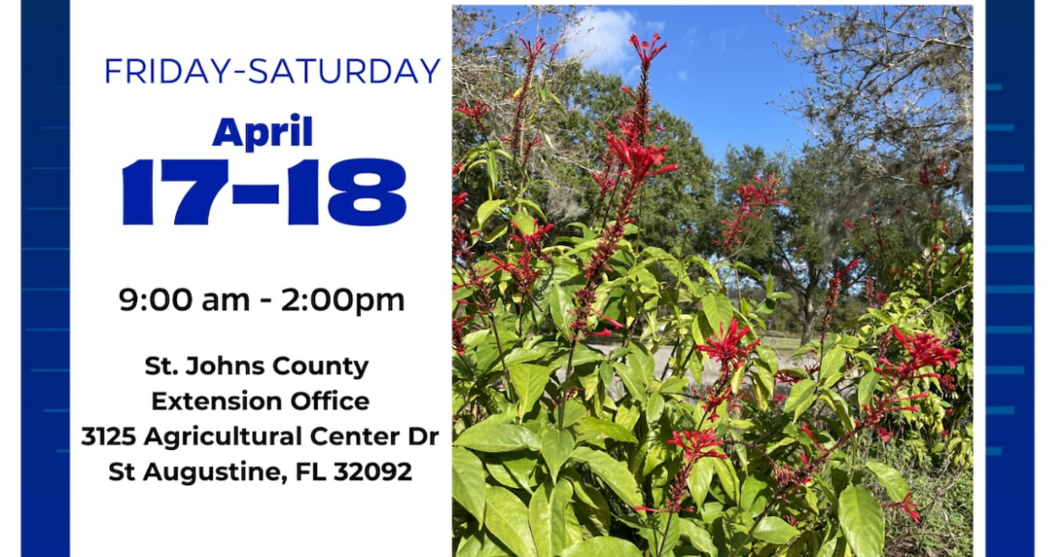 Master Gardeners Spring Plant Sale in St. Augustine Master Gardeners Spring Plant Sale in St. Augustine