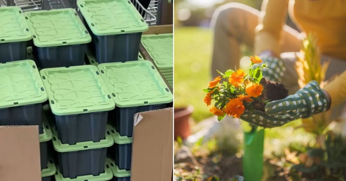 Bunnings storage box hack gardeners never knew they needed - and for $1
