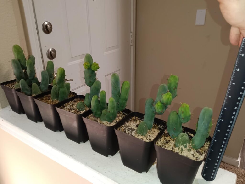 Little ones are looking good..