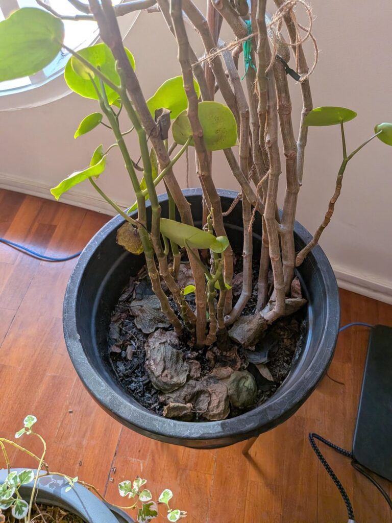 Need Help And advice