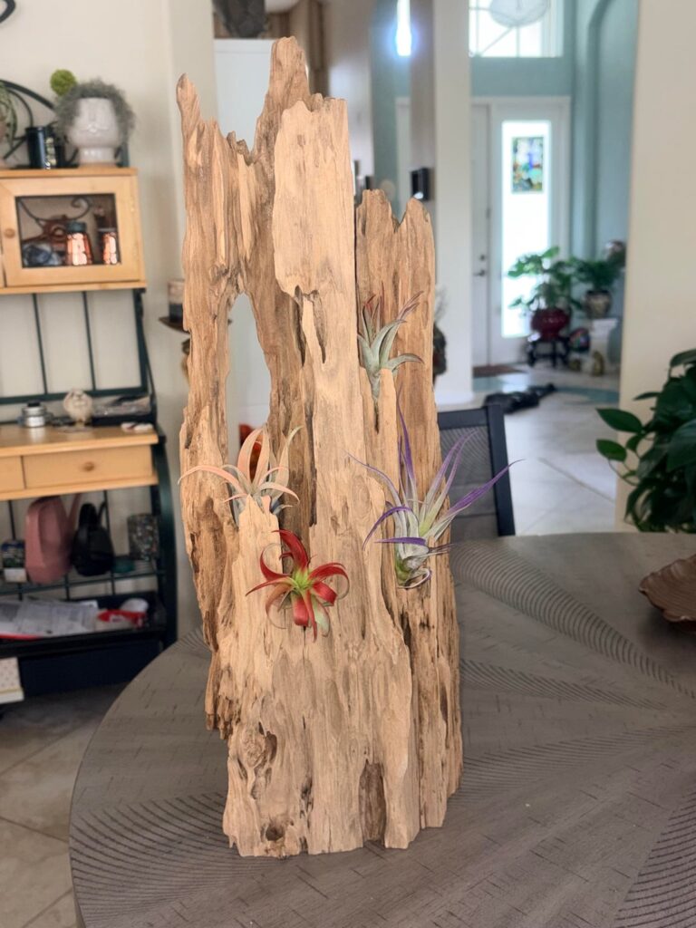 New today