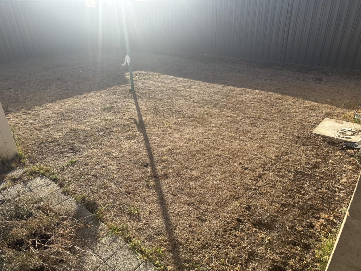 Lawn renovation