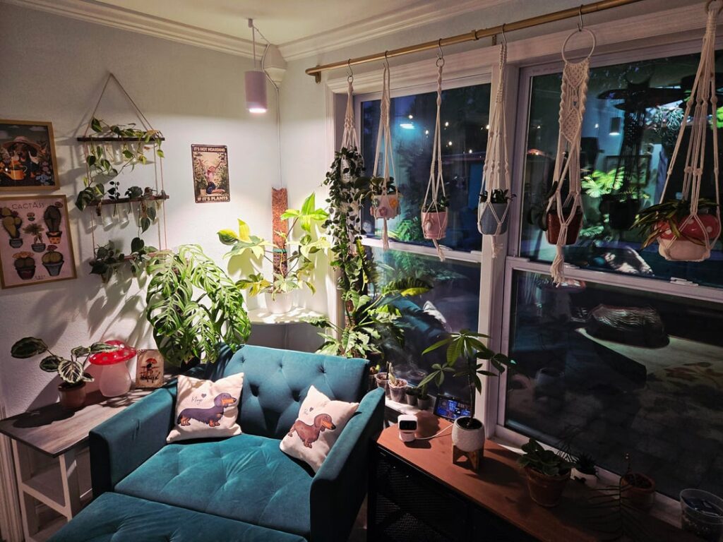 Loving the way plant room is coming together so far 🥰