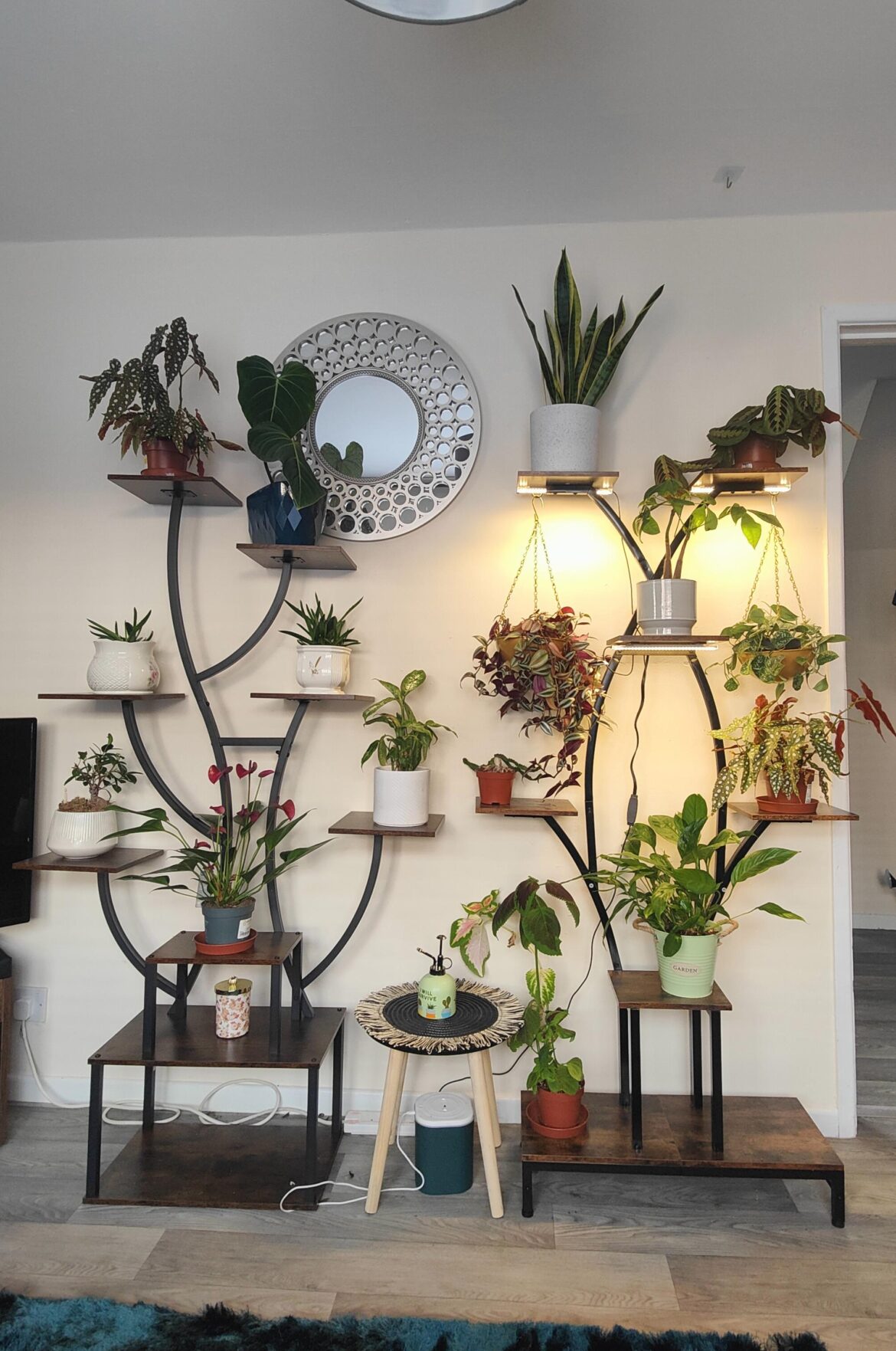 Decorative pots or nah?