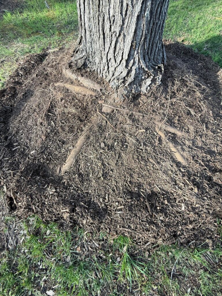 How to Mulch