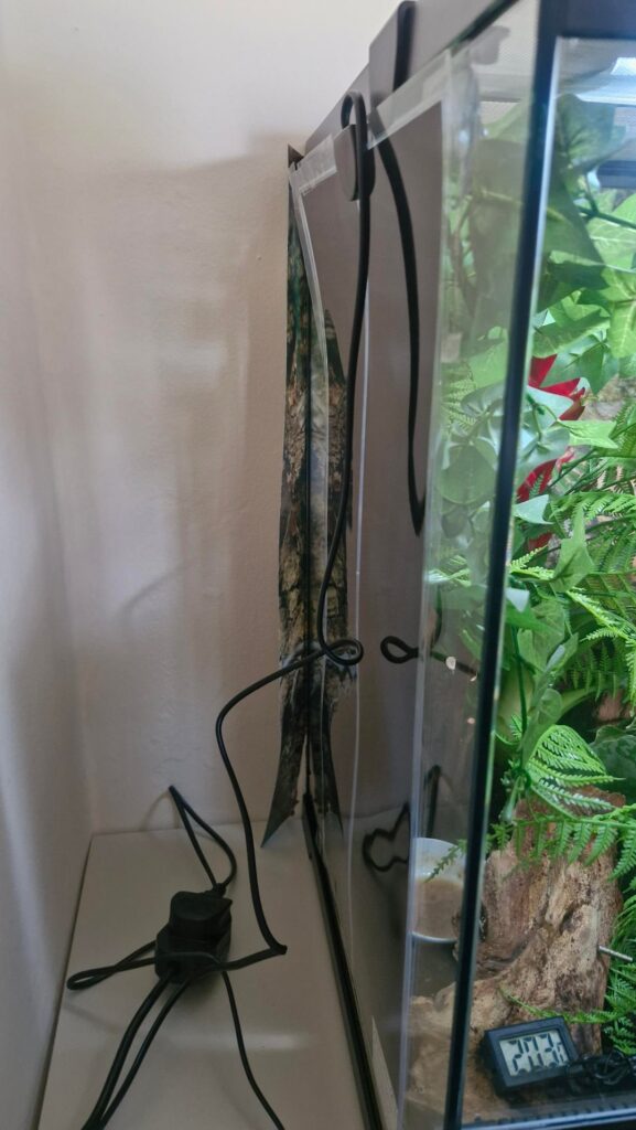 Need help setting up my crested geckos thermostat and heat mat!!! Need help setting up my crested geckos thermostat and heat mat!!!