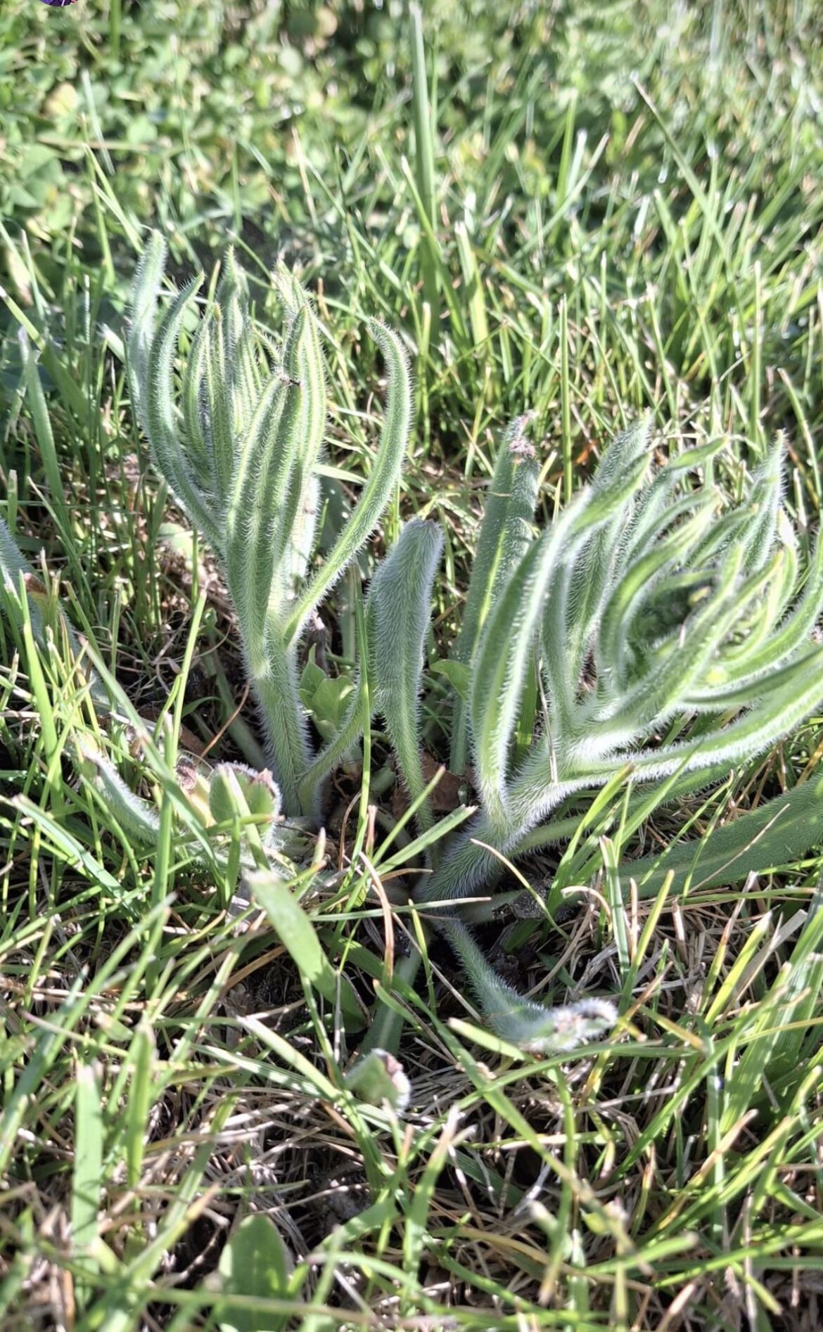 Any idea what this could be?