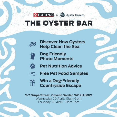 London’s Most Unusual Bar: Oysters Cleaning Water, Live in Covent Garden London's Most Unusual Bar: Oysters Cleaning Water, Live in Covent Garden