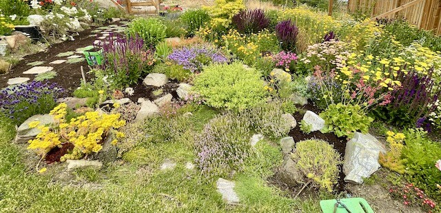 A bright, colourful xeriscape garden with the right plants will withstand, and even thrive in, drought conditions in the Okanagan. You can learn how to transition your landscape and plant xeriscape options at the annual OXA spring plant sale May 9 in Kelowna.