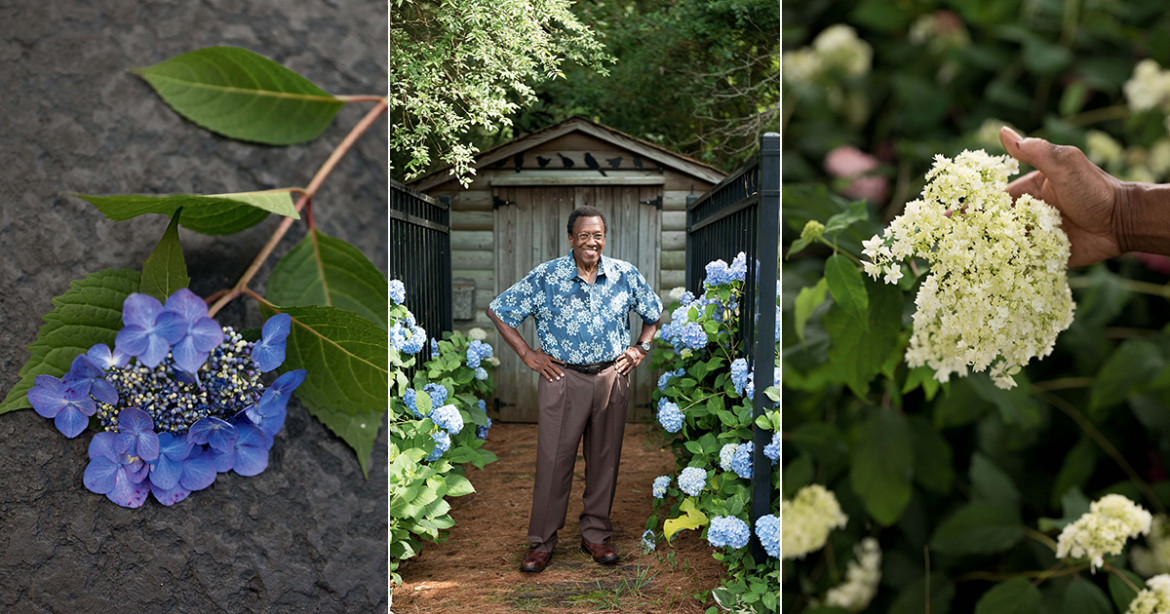 A Tennessee Gardener’s Hydrangea Sanctuary – Garden & Gun