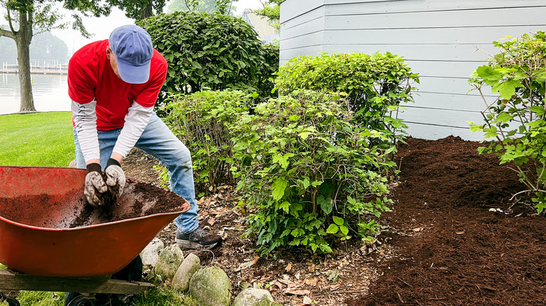 Man landscaping a bed near a house by putting mulch down
