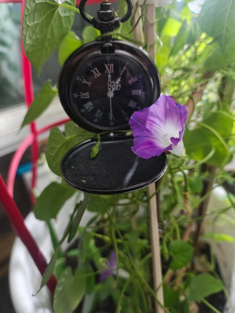 So i got a mini jungle going, thoughts?