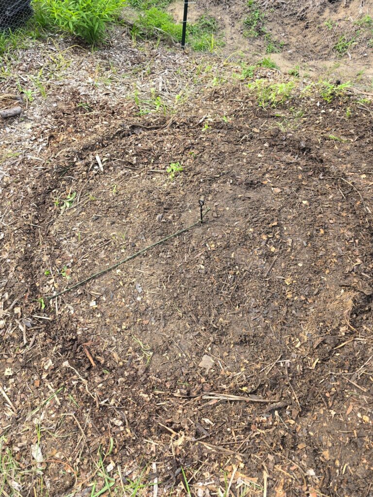 Keyhole Garden Feedback