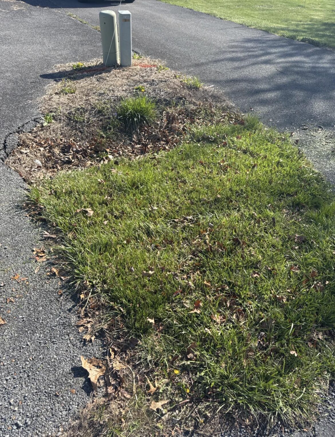 What can I do here