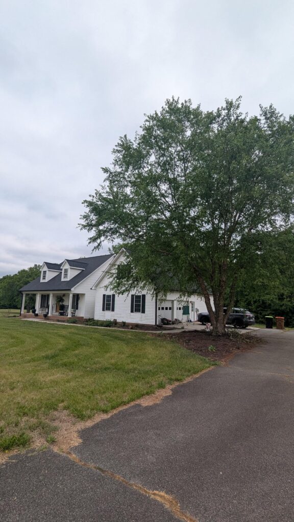 Will this river birch damage my foundation? Will this river birch damage my foundation?
