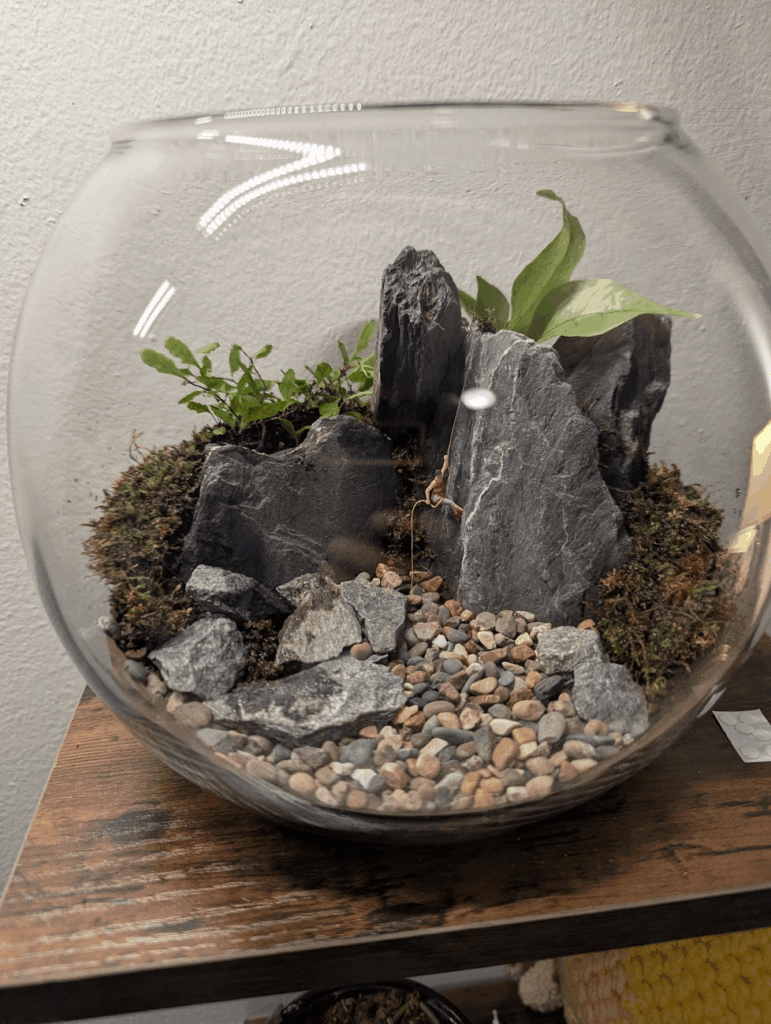 Terrarium for a climbing partner