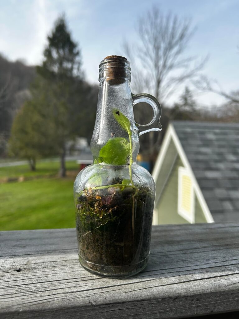 I forgot to take a picture when it was first made but this is months later, it’s been sealed the whole time. All I added was moss and rocks I forgot to take a picture when it was first made but this is months later, it’s been sealed the whole time. All I added was moss and rocks