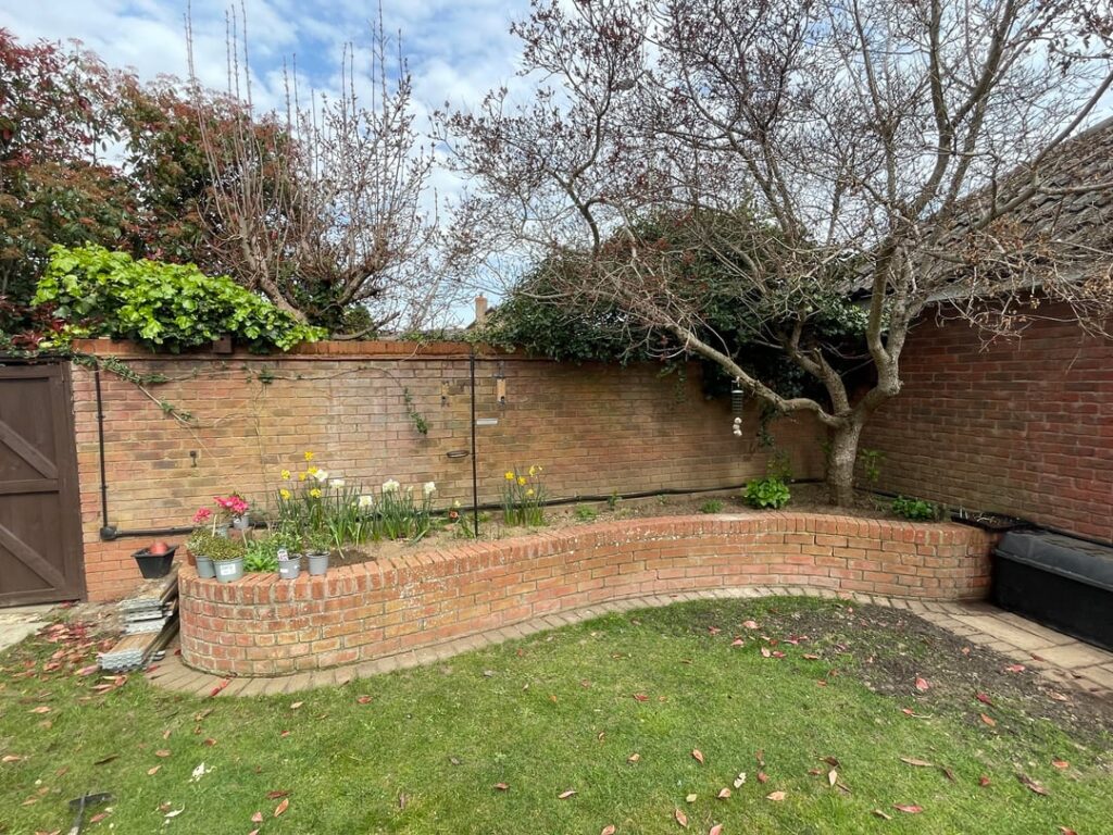 What should I plant in these raised beds to make it look good? What should I plant in these raised beds to make it look good?