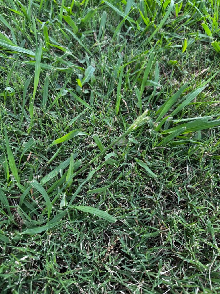 Help me identify this