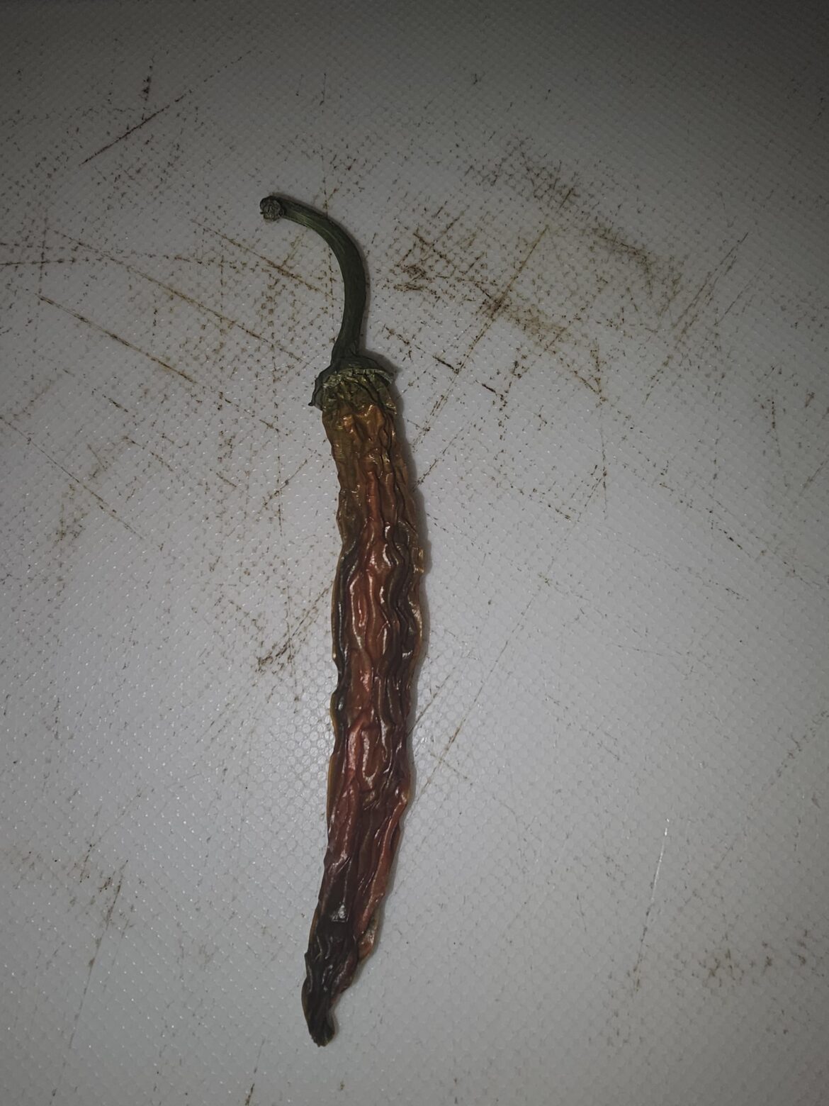 Is this pepper properly dried. I forgot about it 6-8 months ago