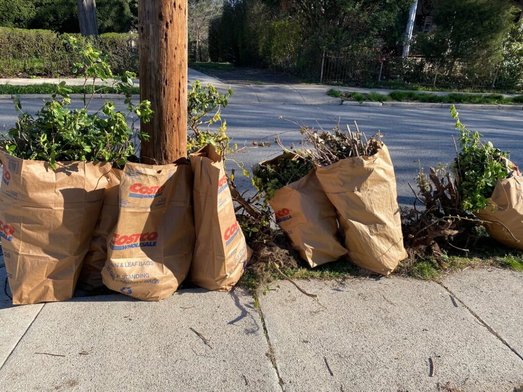 Spent my birthday ripping invasives and adding gardens Spent my birthday ripping invasives and adding gardens