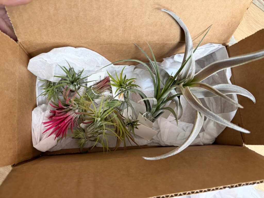 Every APH order is like Christmas Every APH order is like Christmas