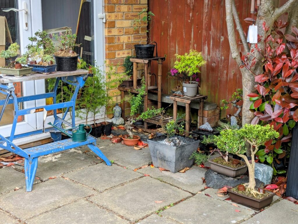 A little bit of home renovation for my trees A little bit of home renovation for my trees