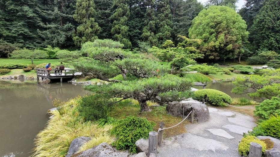 seattle japanese garden from arnel e via yelp
