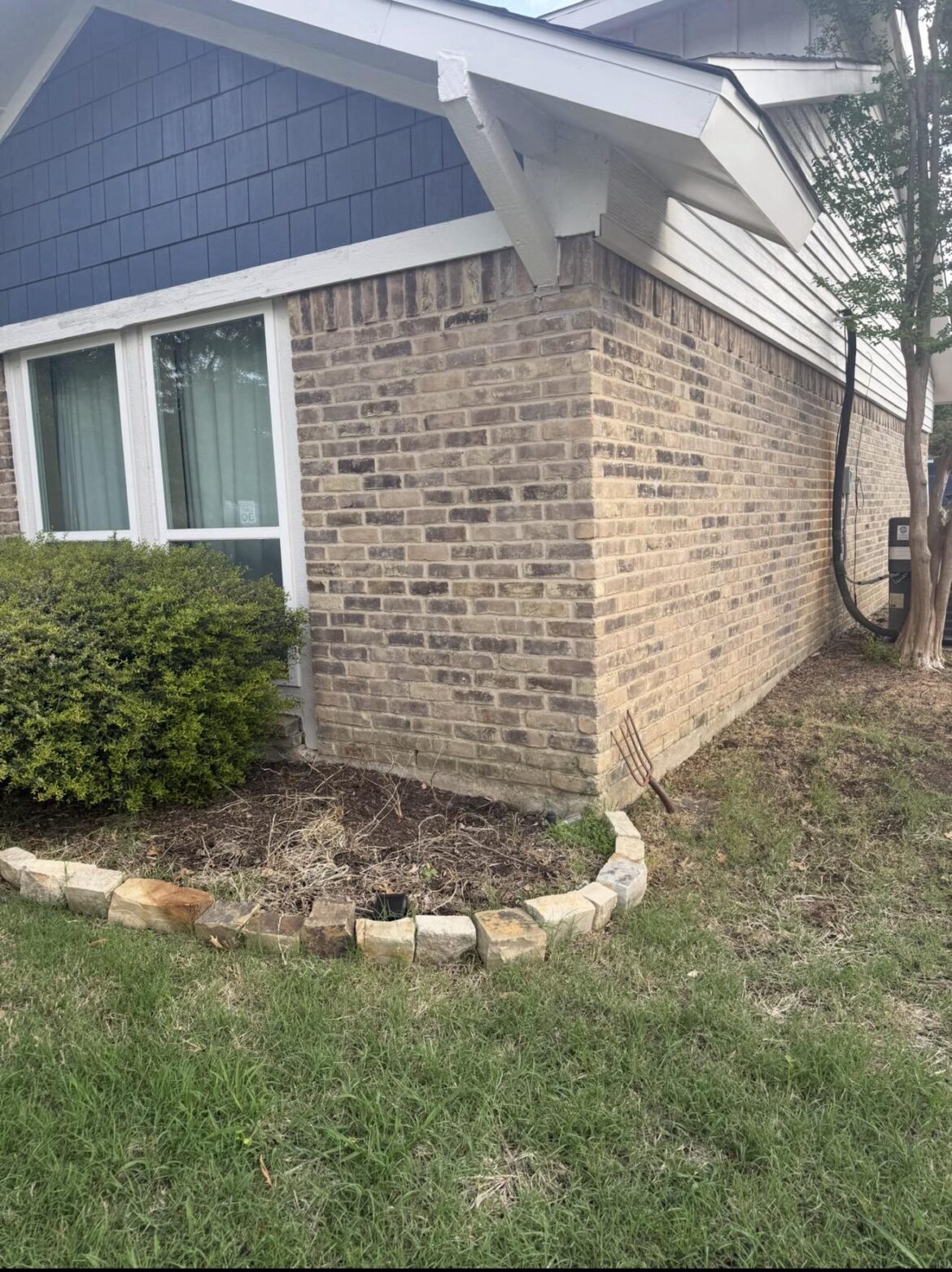 What should I plant on this Northwest corner?