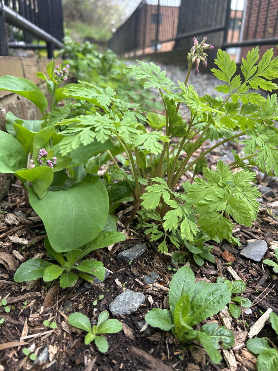 Meanwhile, in a distant galaxy in zone 7B… Meanwhile, in a distant galaxy in zone 7B…